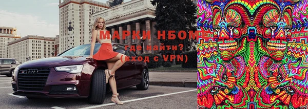 стафф Аркадак