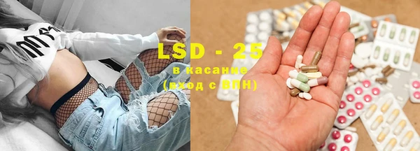 стафф Аркадак