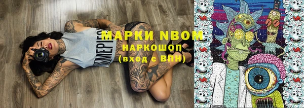 стафф Аркадак