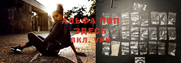 стафф Аркадак