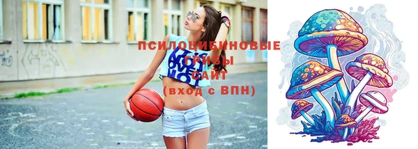 стафф Аркадак