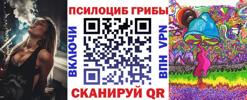 Галлюциногенные грибы Psilocybe наркотики Мыски